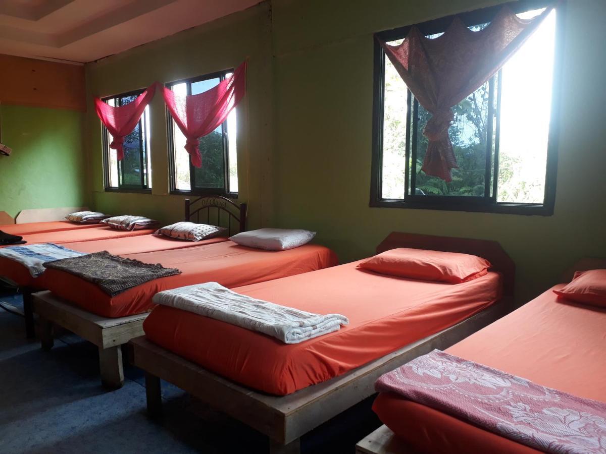 Mulu D Cave Homestay Ngoại thất bức ảnh